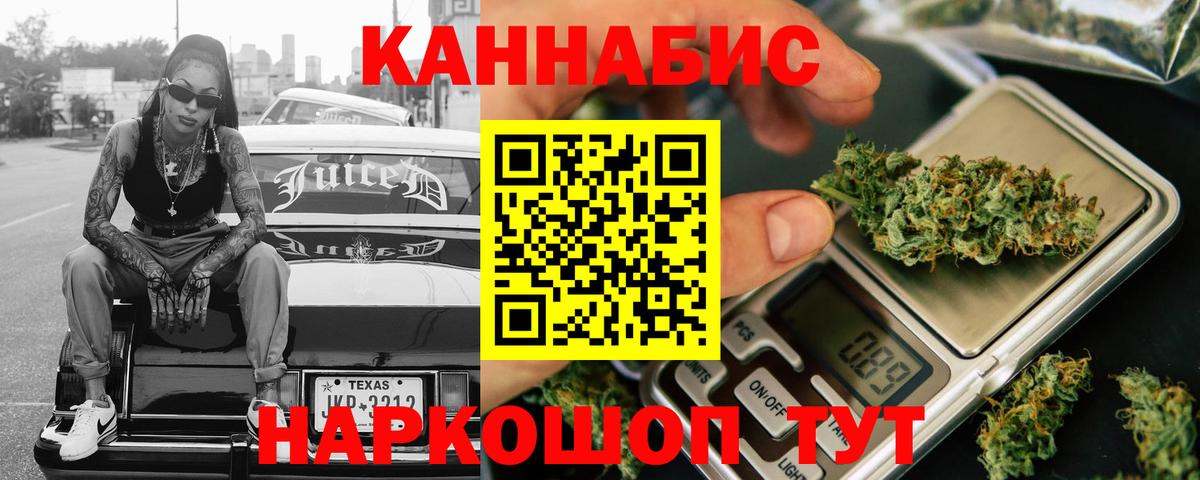 Конопля сатива Фрязино